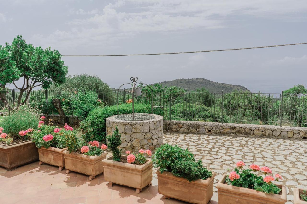 Hotel Relais Pian Delle Starze Marina di Camerota Exteriör bild